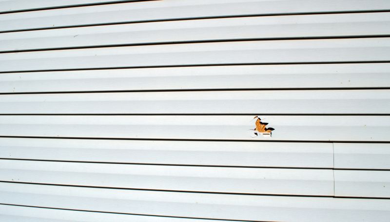 Vinyl Siding Repair - Image 7